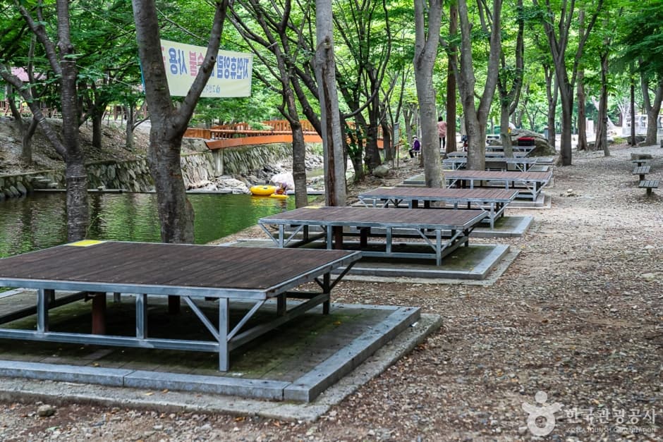 고산자연휴양림 2