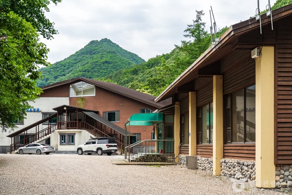 고산자연휴양림 3