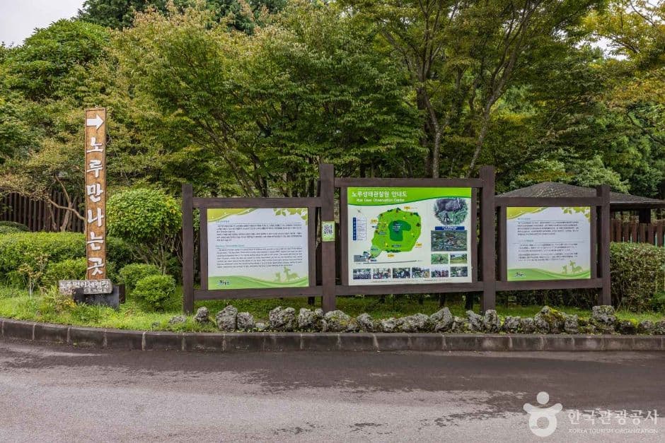 제주 노루생태관찰원 5