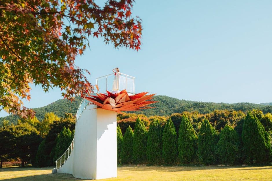 Naejangsan Maple Ecology Park (내장산 단풍생태공원) 7