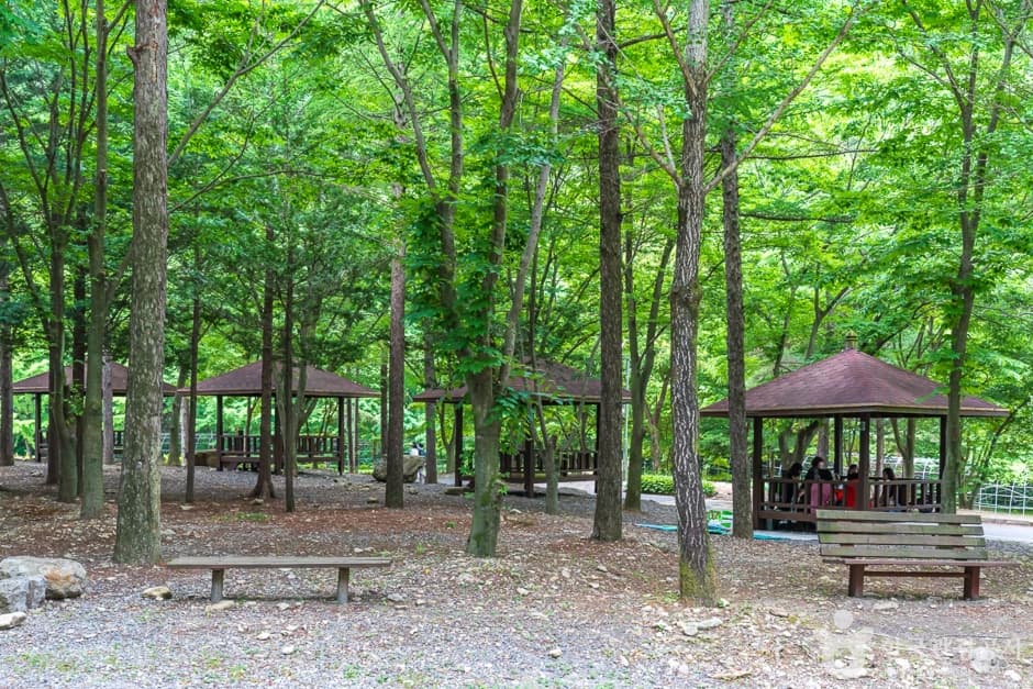 고산자연휴양림 4