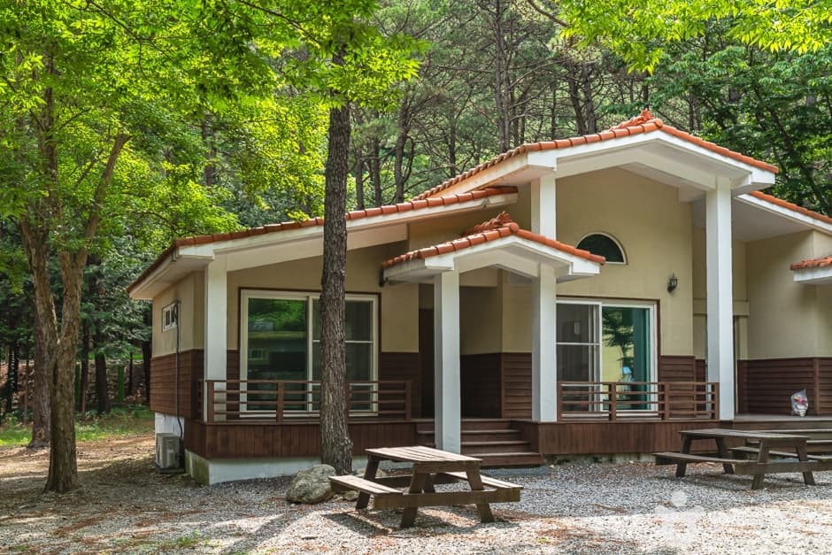 고산자연휴양림 5