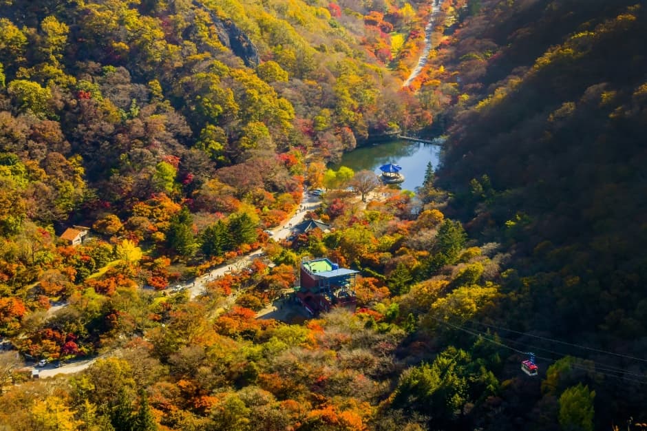 Uhwajeong Pavilion (우화정(내장산)) 2