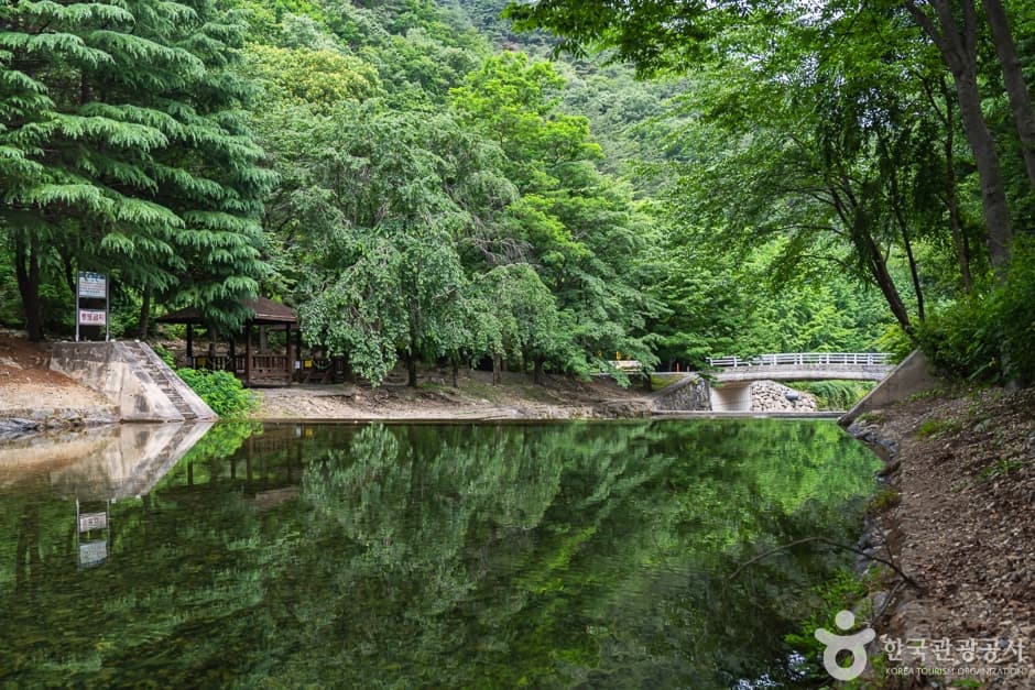 고산자연휴양림 6
