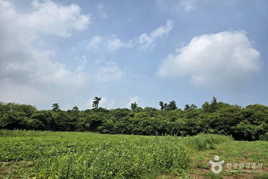 가새기오름 1