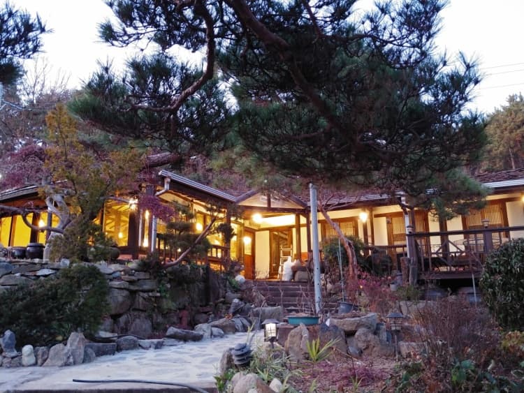 오후의 산책 2
