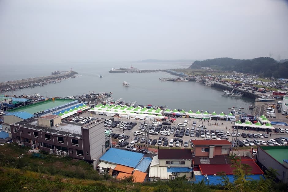 서천 홍원항 자연산 전어 꽃게 축제 2