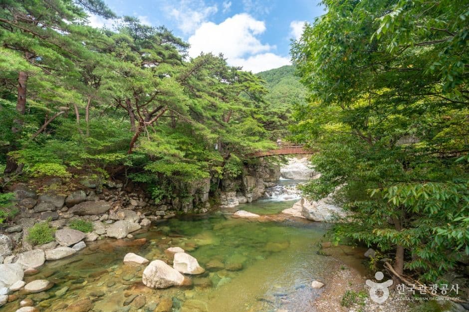 홍류동계곡 1