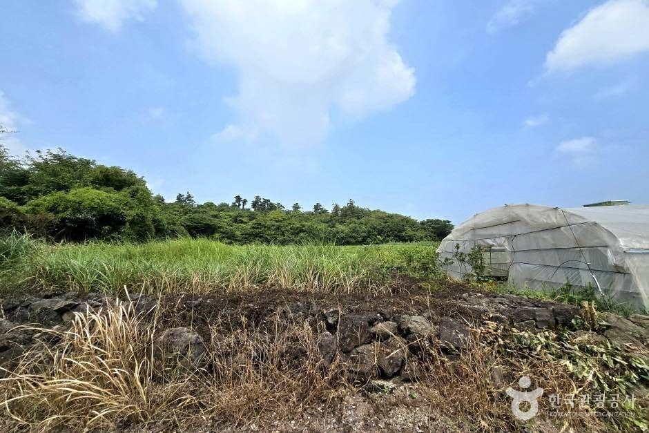가새기오름