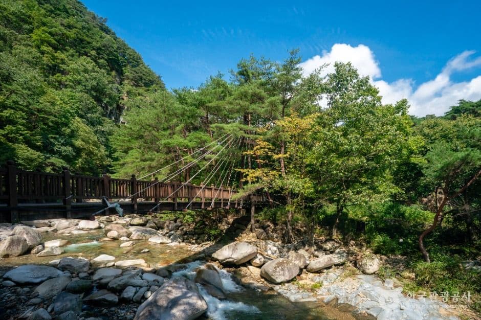 홍류동계곡 2