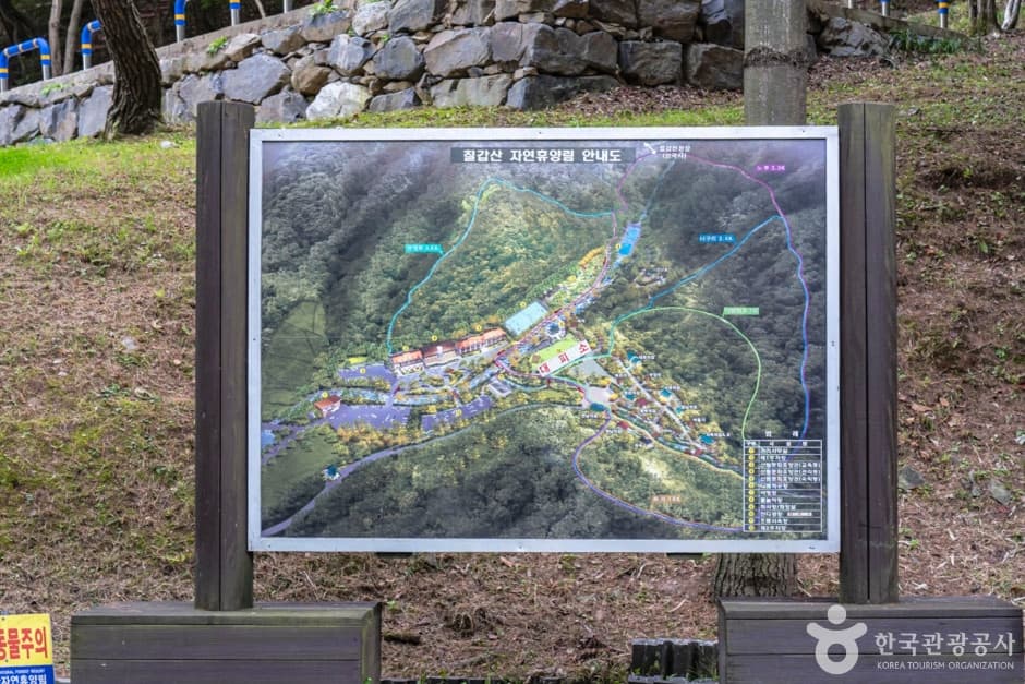 칠갑산자연휴양림 8