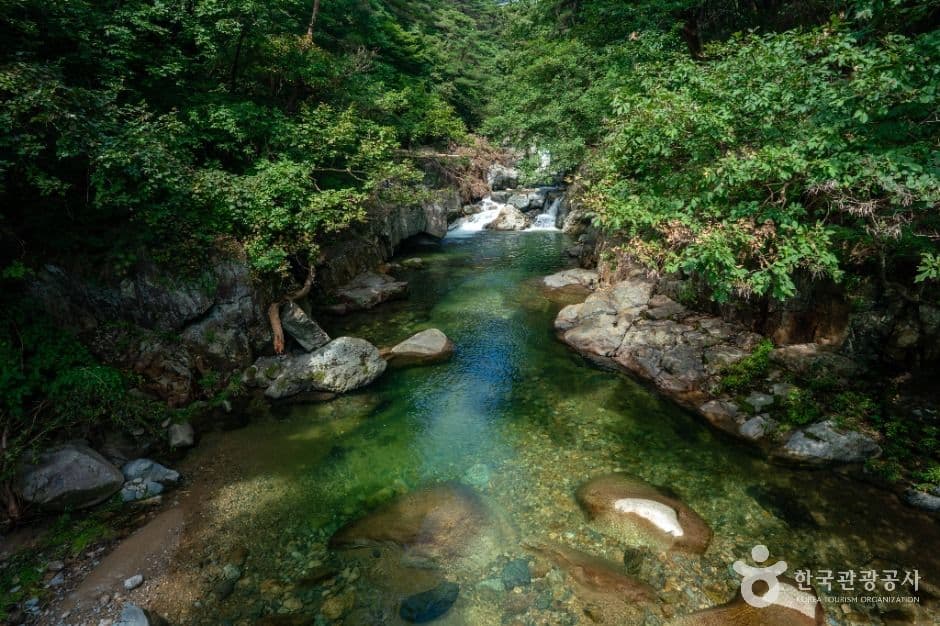 홍류동계곡 3