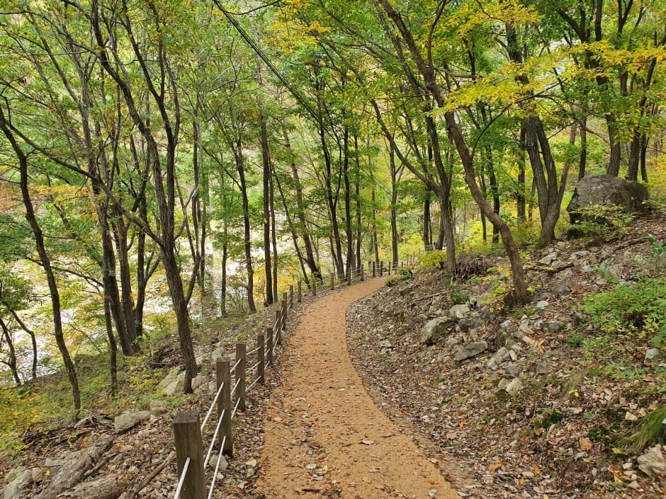 장령산자연휴양림 1
