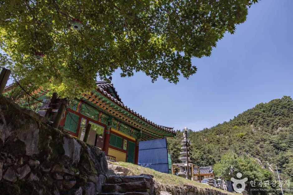 동화사(충북) 3