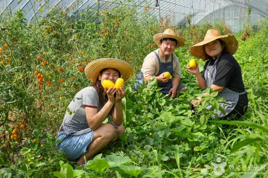 비손농장(포항체험잇다) 6