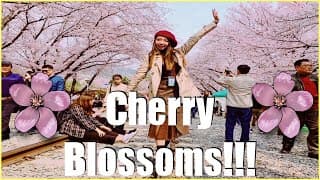 Jinhae Cherry Blossom Festival and Gyeonghwa Rail Station 2019 | KoreaVlog #5 | Gail Bong