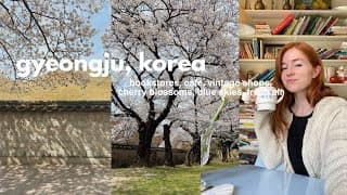 a spring solo trip to gyeongju, korea vlog 🌸 bookstores, cafes, vintage shops, and nature