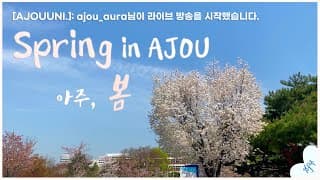 [Spring in AJOU] 벚꽃맛집 아주대학교🌸 | 아주대 (미니) 캠퍼스 투어 영상 | 아주대학교 홍보대사 AURA
