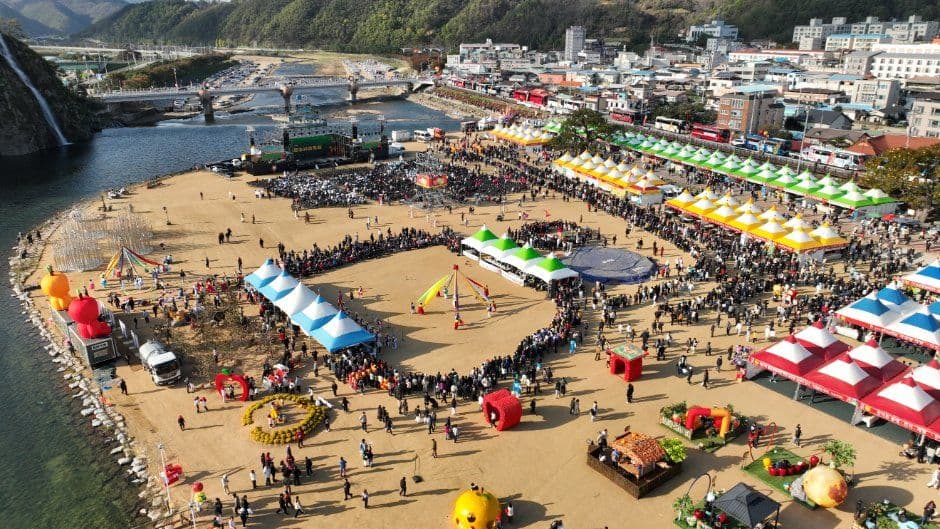 Cheongsong Apple Festival (청송사과축제) 5