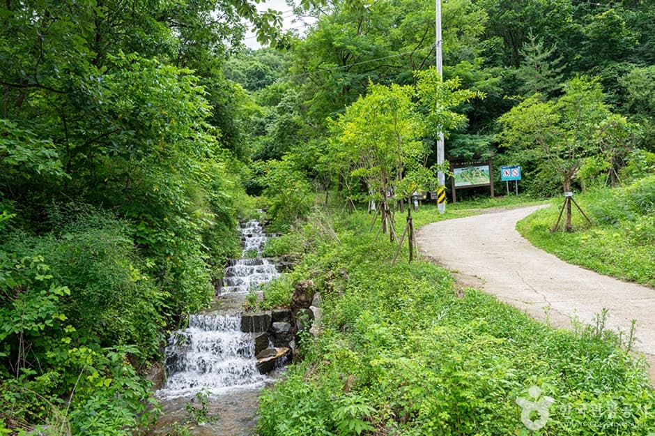 고대산자연휴양림 5