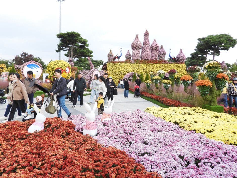 Grand Chrysanthemum Festival (대한민국 국향대전) 1
