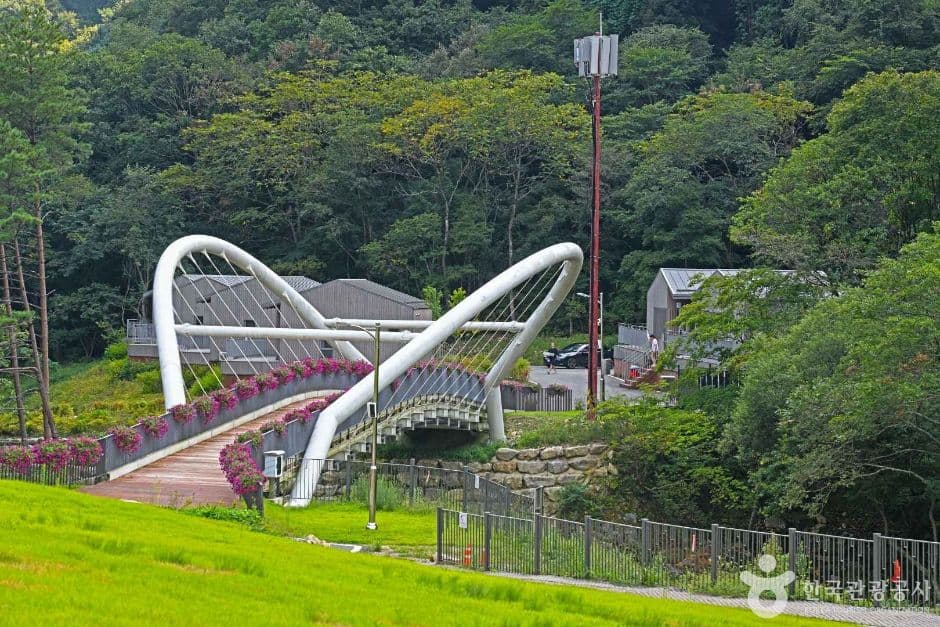 갯골자연휴양림 3