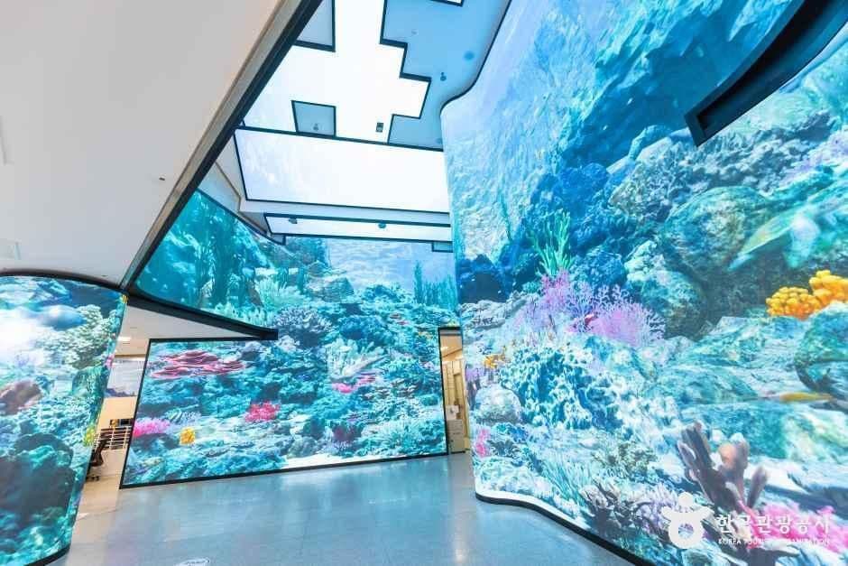 강화자연사박물관 2