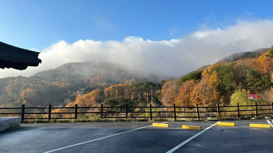 삼성궁1분 자연산장 4
