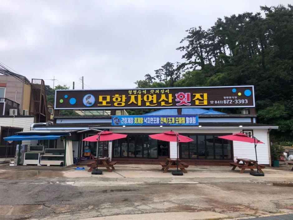 모항자연산횟집 9
