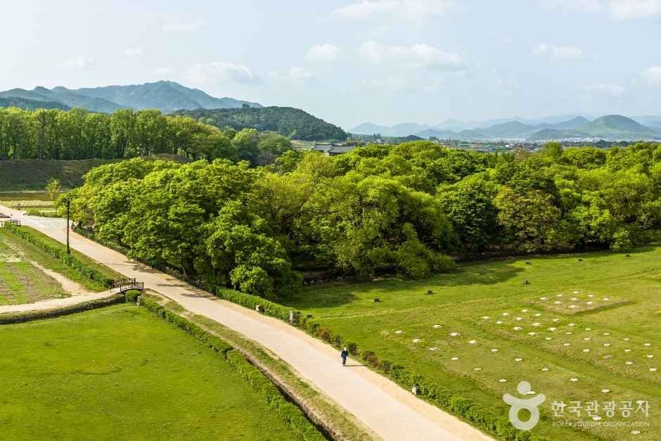경주 계림 2