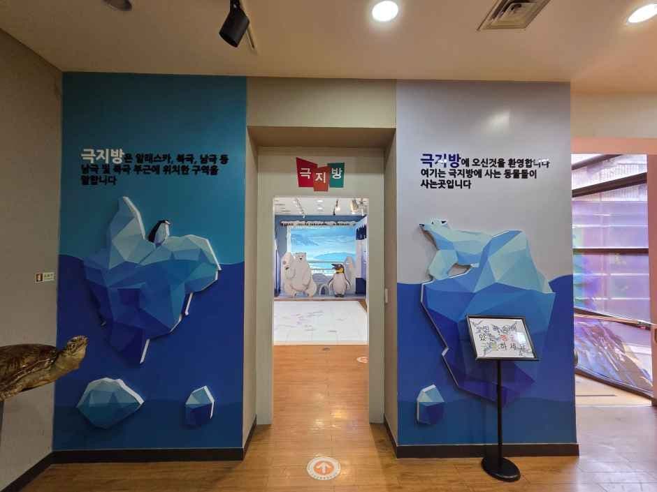 고성자연사박물관 2