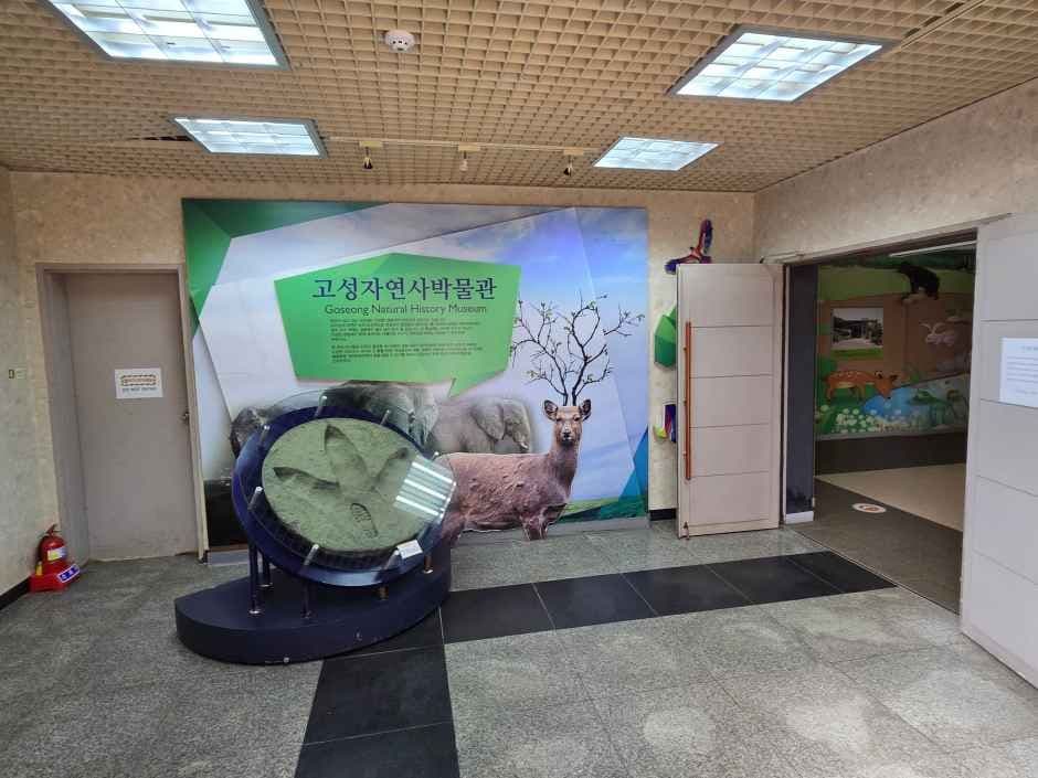 고성자연사박물관 4
