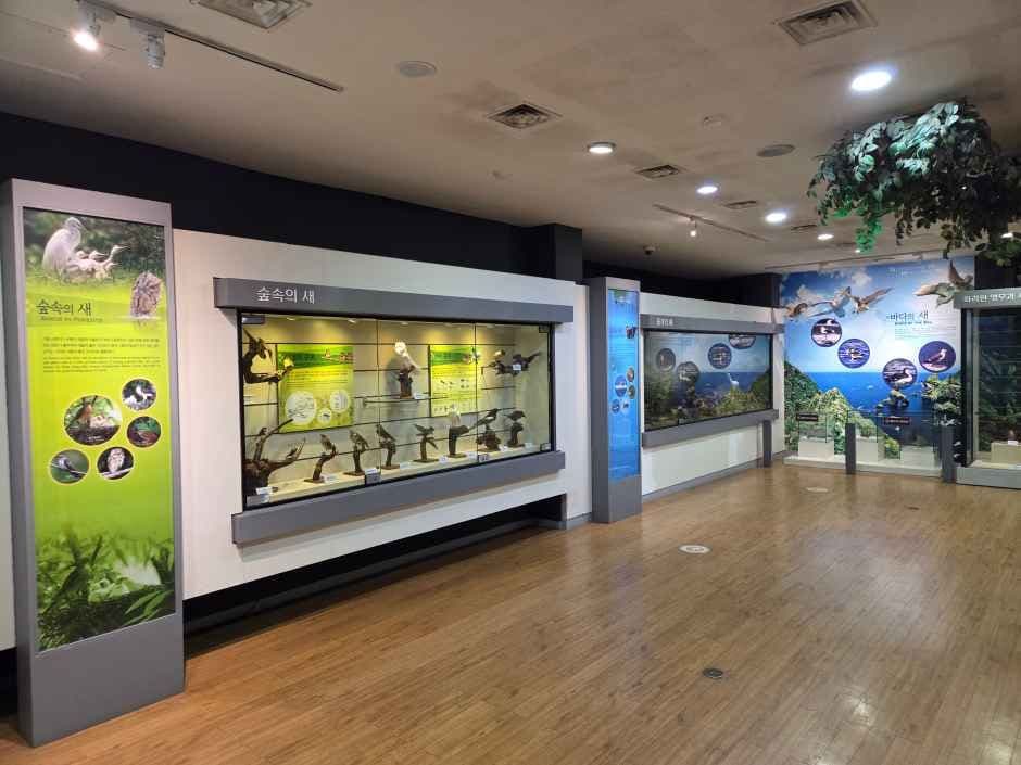 고성자연사박물관 5