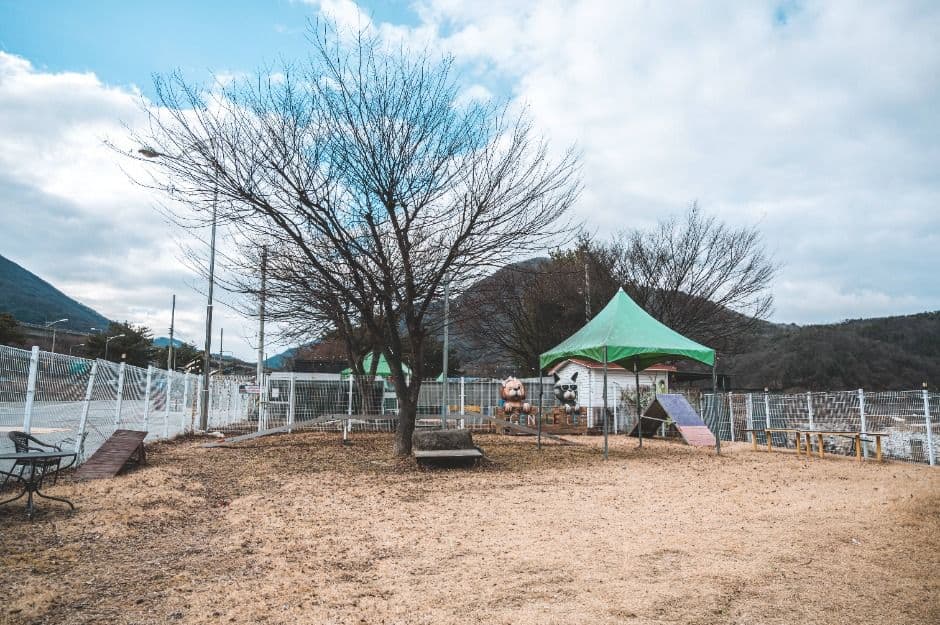 문경새재 반려동물 힐링센터 1
