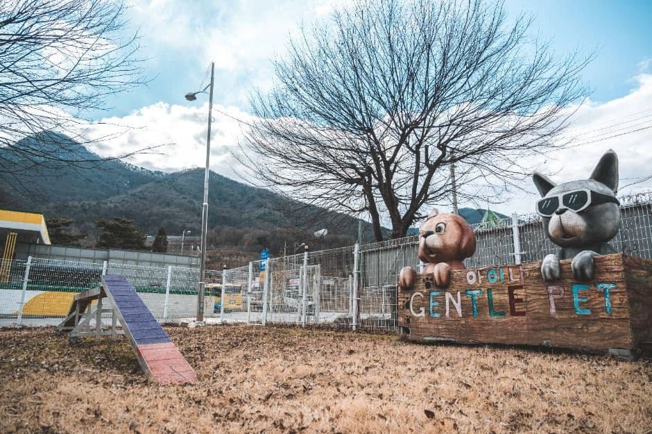 문경새재 반려동물 힐링센터 3