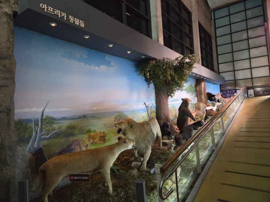 고성자연사박물관 7