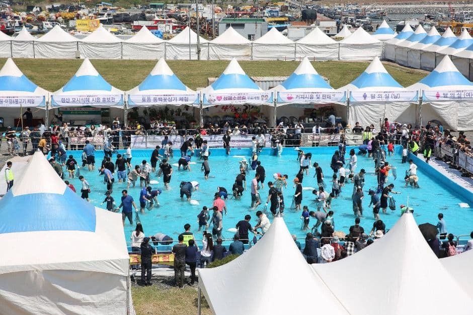 서천 자연산 광어 도미 축제 6