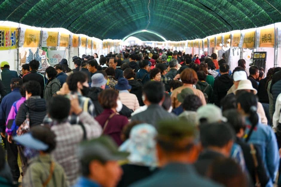 경북영주 풍기인삼축제 1