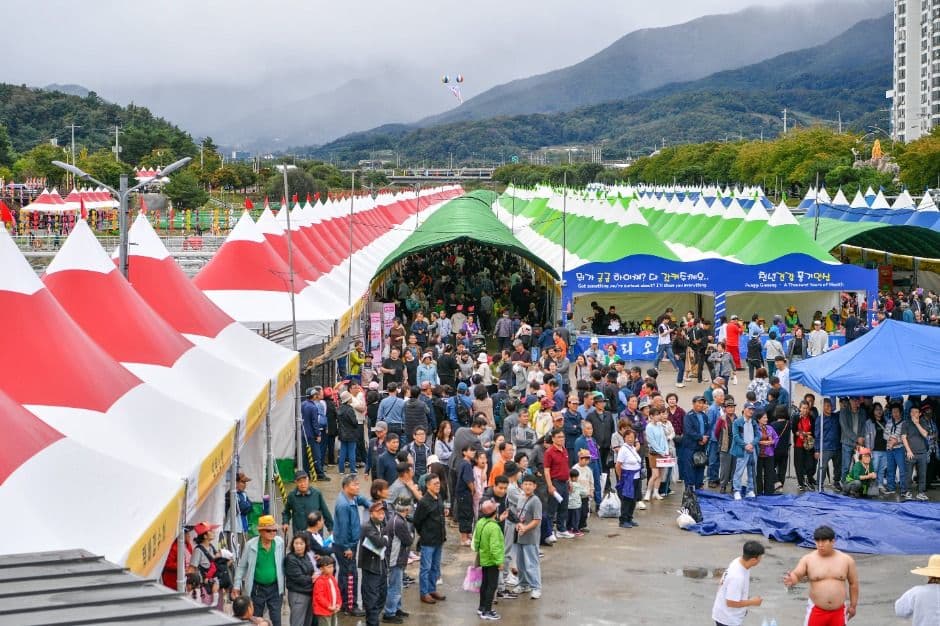 경북영주 풍기인삼축제 2