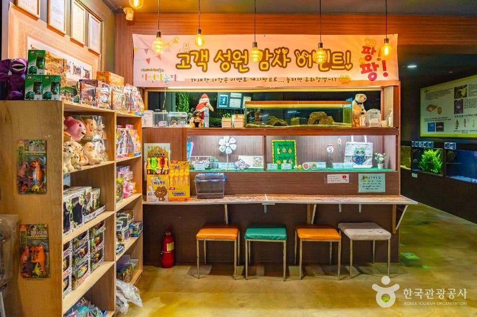강릉생태체험박물관 자연아놀자 1