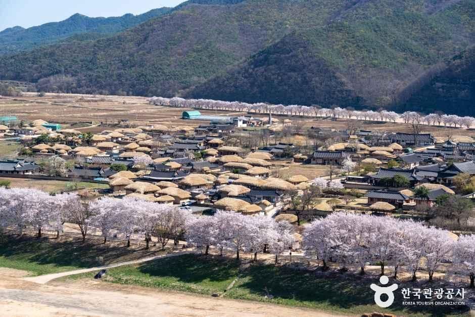 Andong Hahoe Village [UNESCO World Heritage] (안동 하회마을 [유네스코 세계유산]) 2