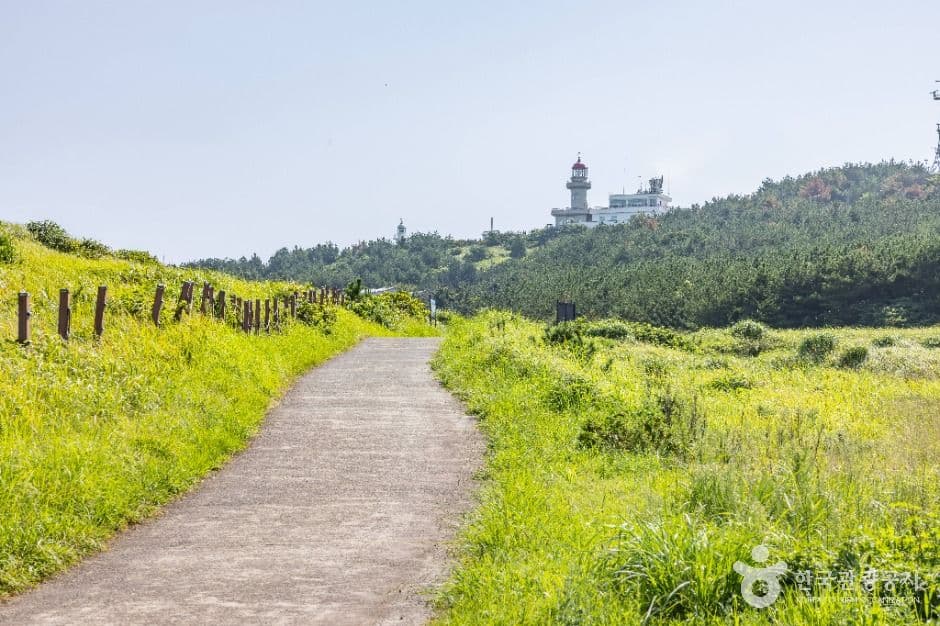 Udo Island (우도) 4