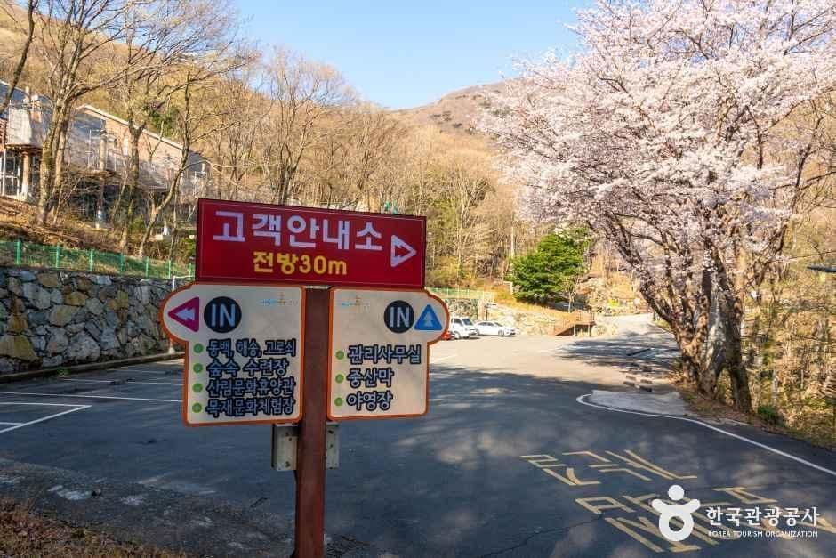 거제자연휴양림 3