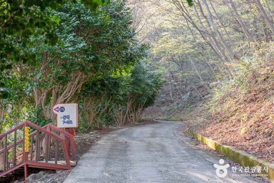 거제자연휴양림 4