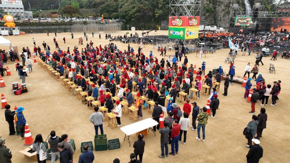 Cheongsong Apple Festival (청송사과축제) 2