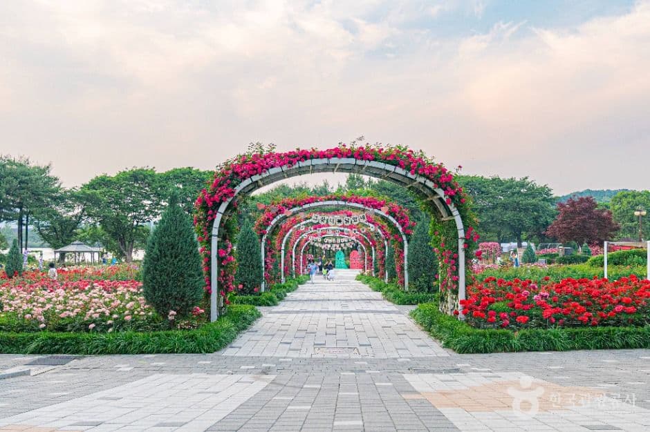 Seoul Grand Park (서울대공원)