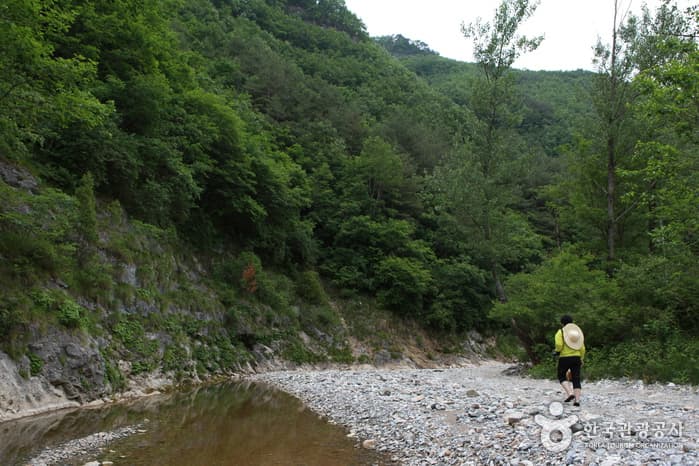 Deoksangigyegok Valley (덕산기 계곡) 4