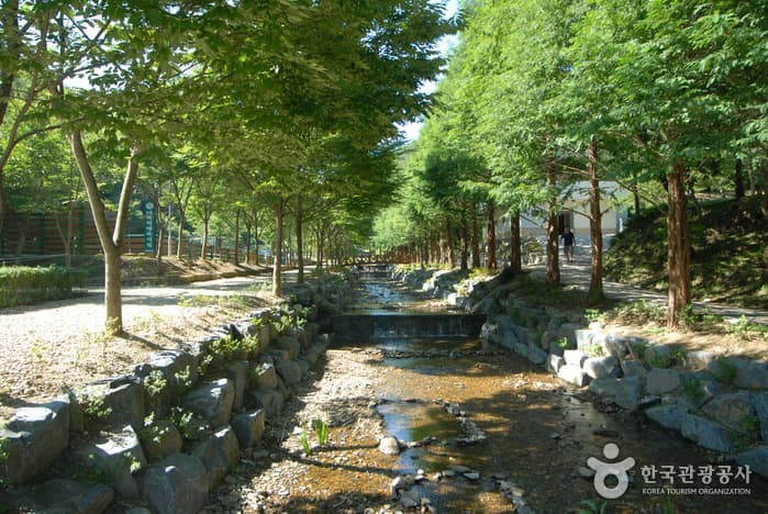 Chilgapsan Recreational Forest (칠갑산자연휴양림) 4
