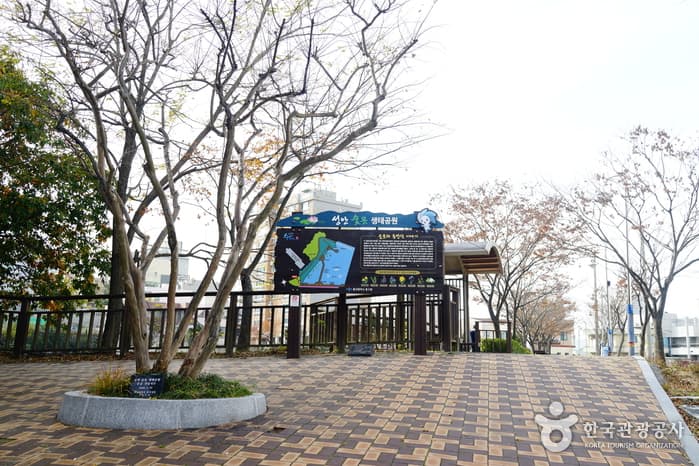 Sunmot Ecological Park (μ―λͺ» μν곡μ) 2