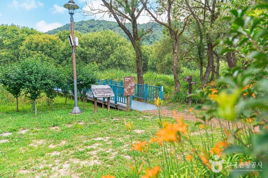 Gwangjuho Lake Eco Park (๊ด์ฃผํธ ํธ์์ํ์) 6